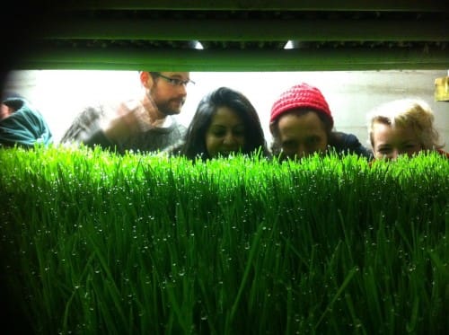 photo-16