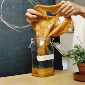 Ferments_0057