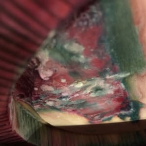 Ferments_0061
