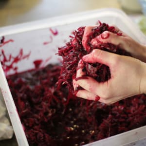 Ferments_2155