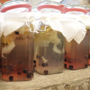 Ferments_5358