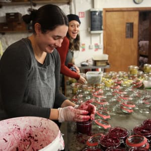 Ferments_9213