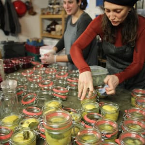 Ferments_9215