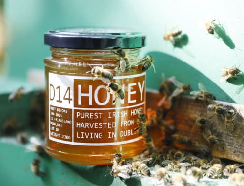 DublinHoneybeeProject 2e