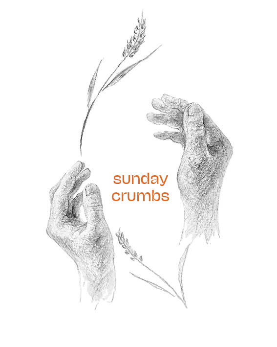 sunday crumbs logo with text